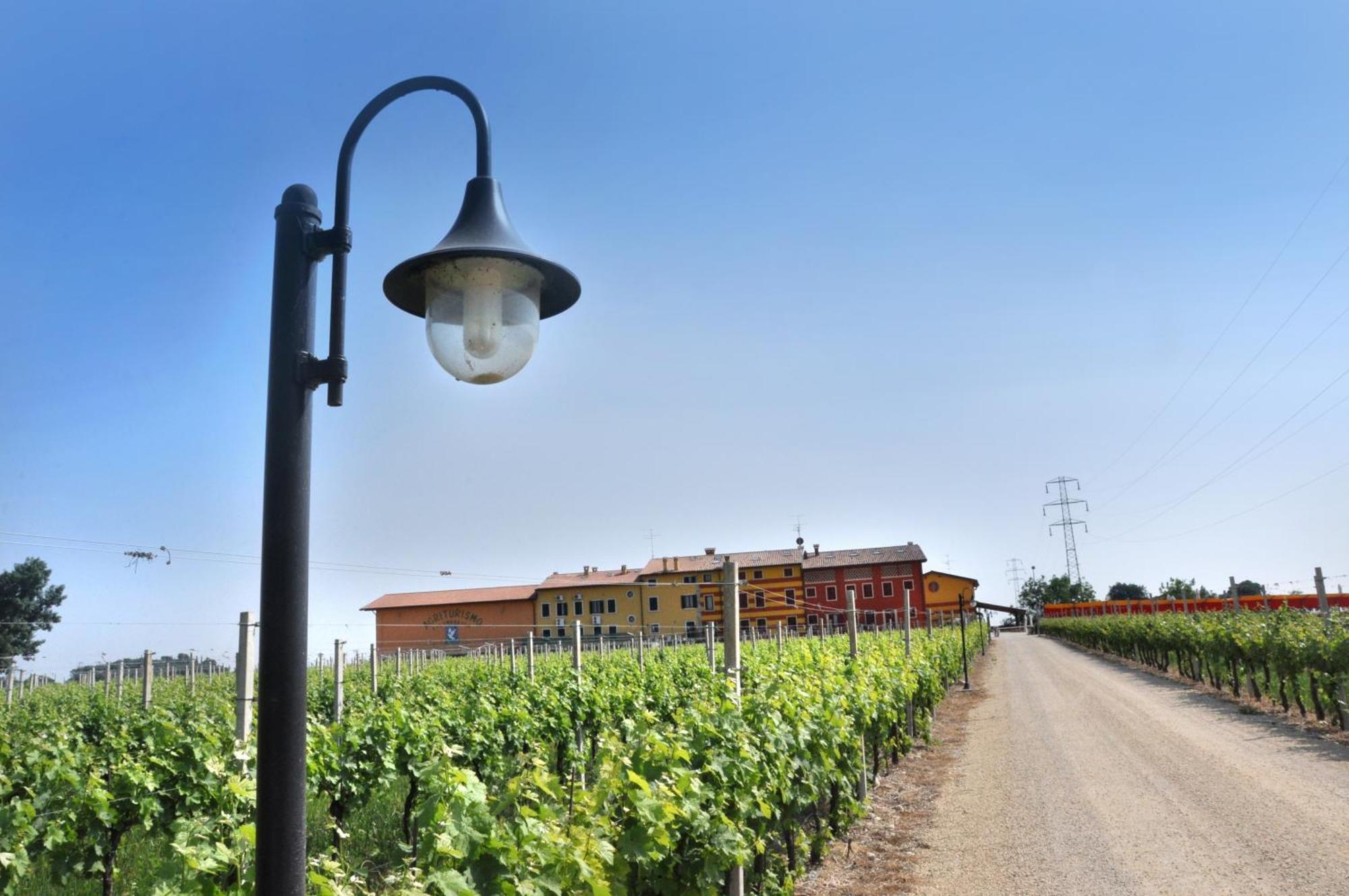 Agriturismo Dei Grippi Sona Eksteriør billede